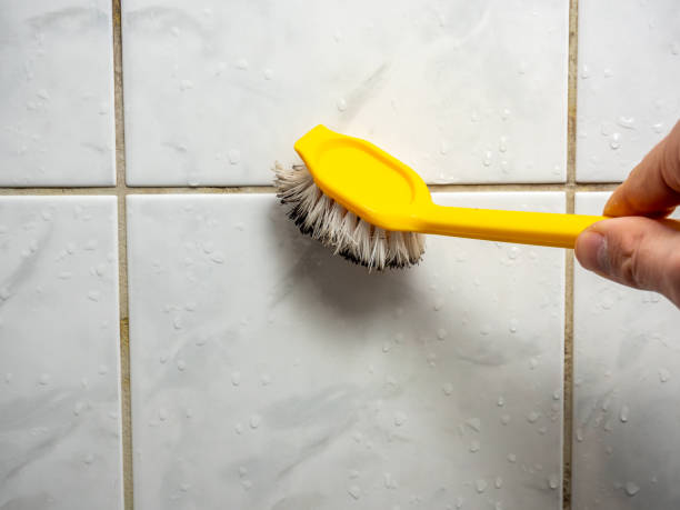 Best Commercial Mold Remediation in North Oaks, MN