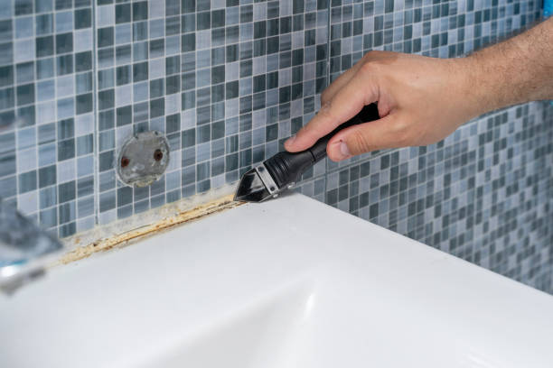Best Basement Mold Remediation in North Oaks, MN