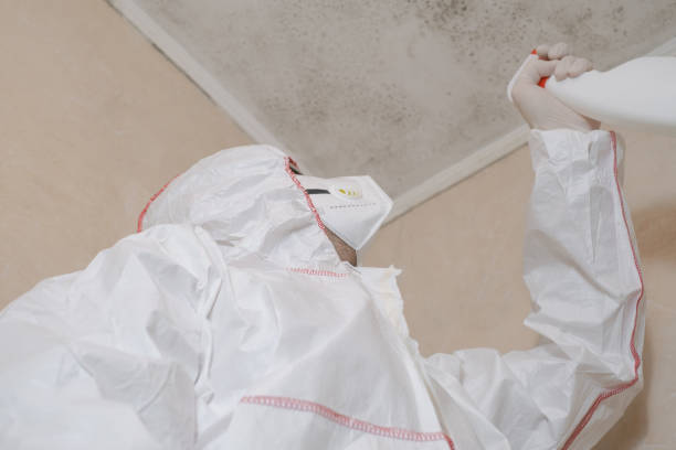 Best Industrial Mold Remediation in North Oaks, MN